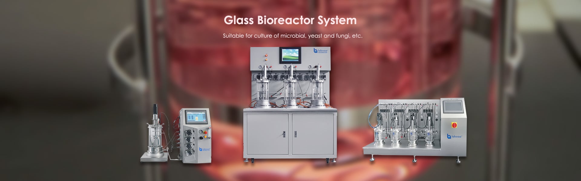 banner of glass bioreactor fermenter