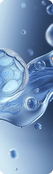 application in Tissue Engineering