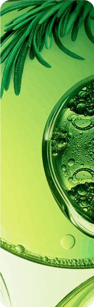 application in Algal Biotechnology