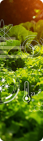 application in Agricultural Biotechnology