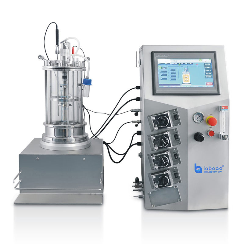 Lab Glass Bioreactor