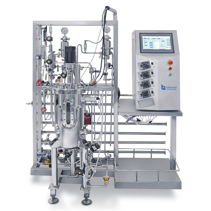 Stainless Steel Fermenter