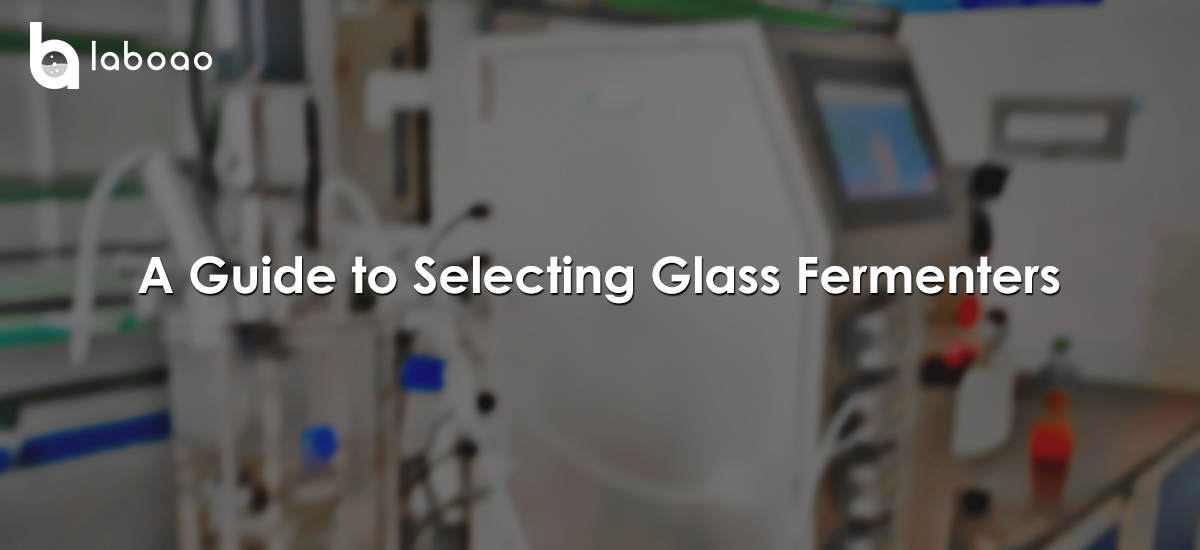 A Guide To Selecting Glass Fermenters