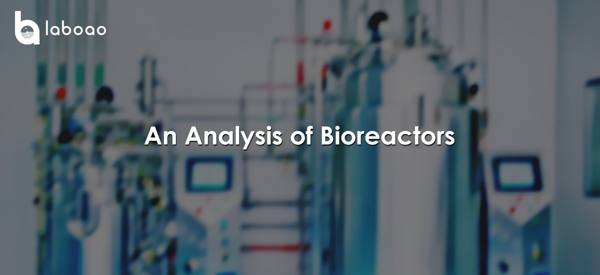 An Analysis Of Bioreactors