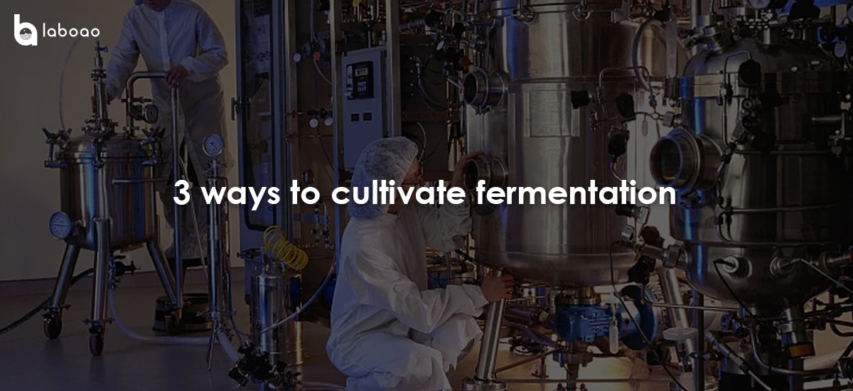 3 Ways To Cultivate Fermentation