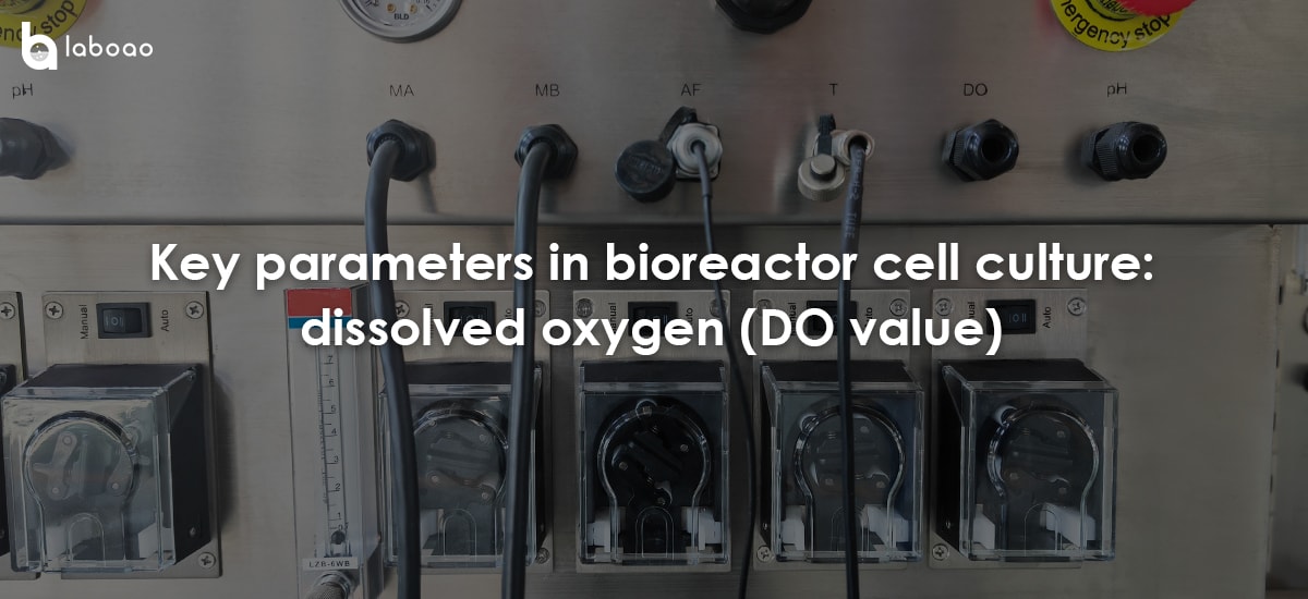 Key Parameter In Bioreactor Cell Culture: Dissolved Oxygen