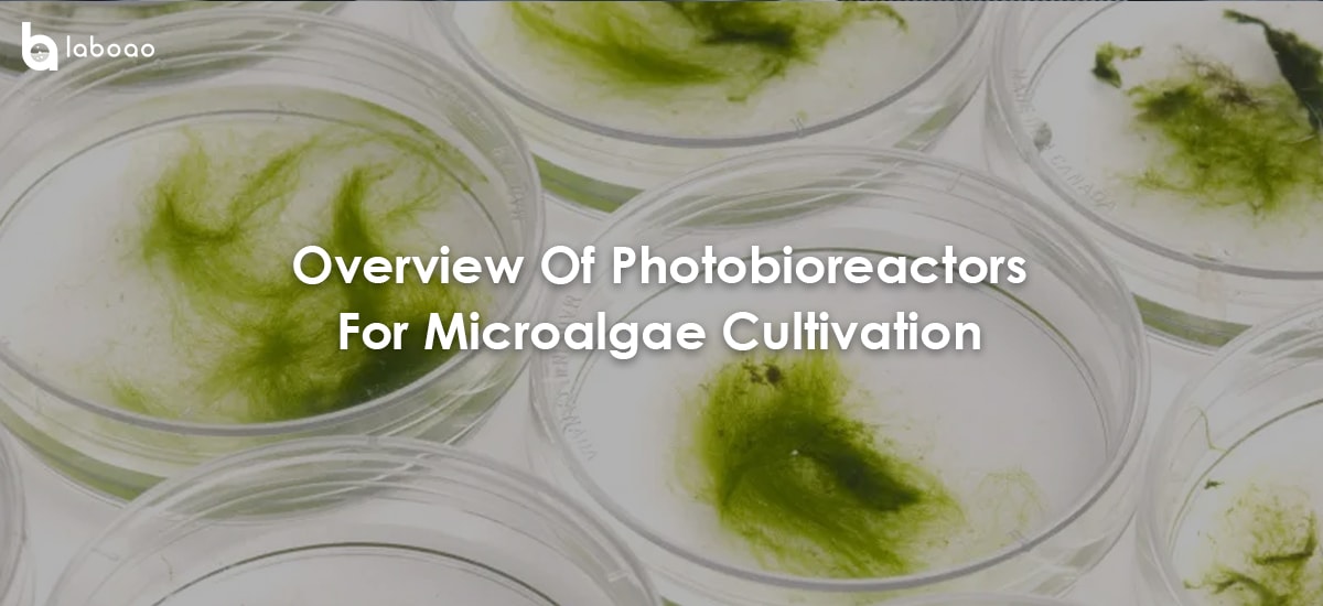 Overview Of Photobioreactors For Microalgae Cultivation