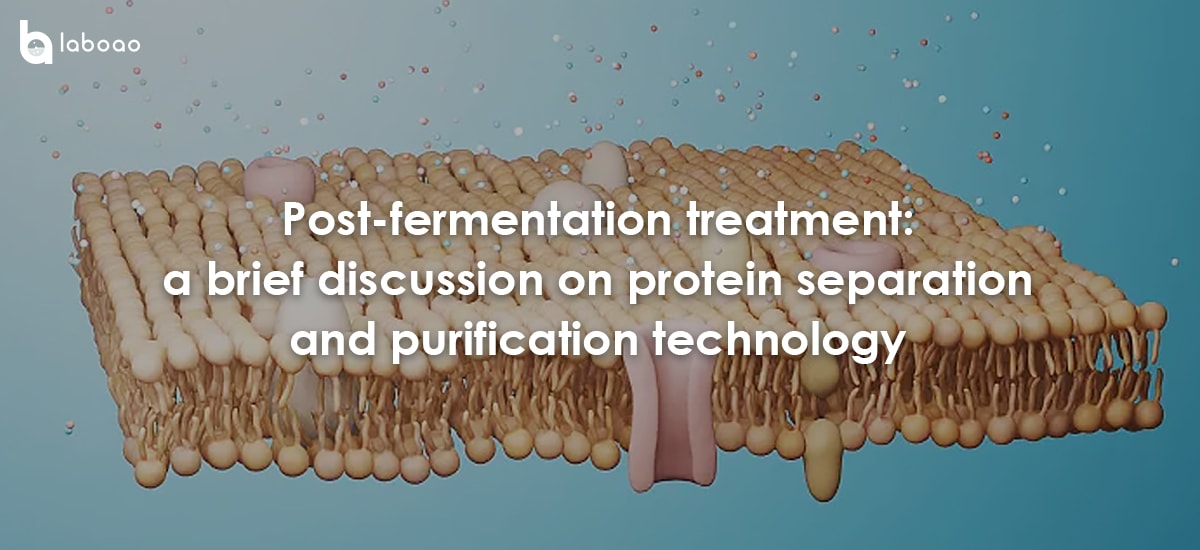 Post-fermentation Treatment: A Brief Discussion On Protein Separation And Purification Technology