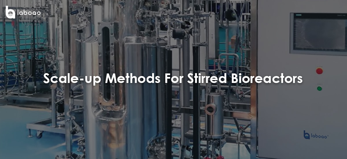 Scale-up Methods For Stirred Bioreactors