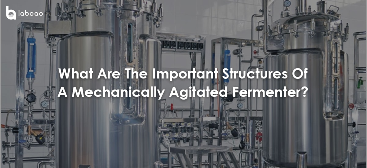 What Are The Important Structures Of A Mechanically Agitated Fermenter?