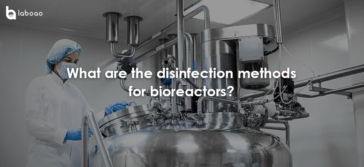 What Are The Disinfection Methods For Bioreactors?