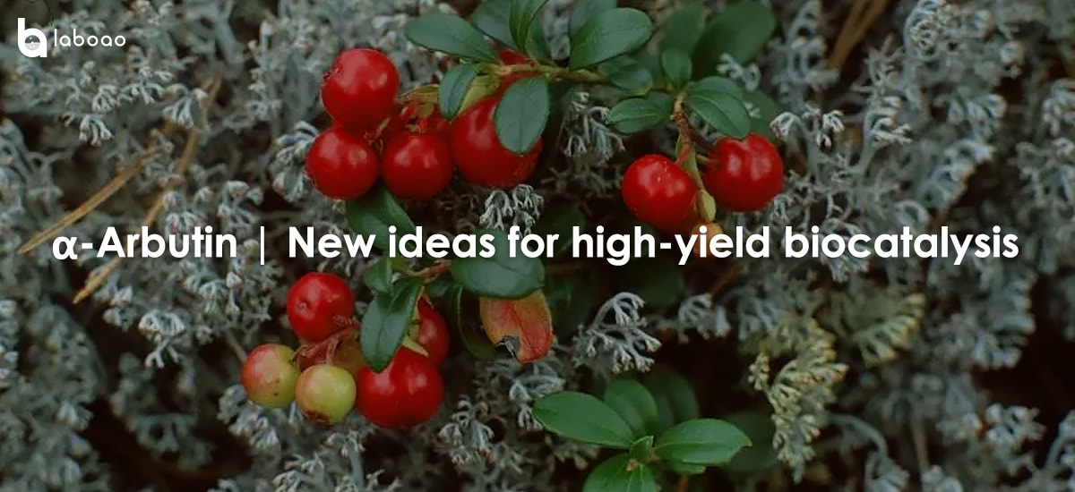 Α-Arbutin | New Ideas For High-yield Biocatalysis