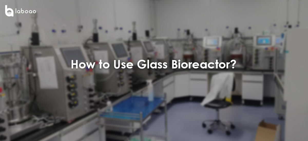 Application, Use, Sterilization And Cleaning Of Glass Bioreactor