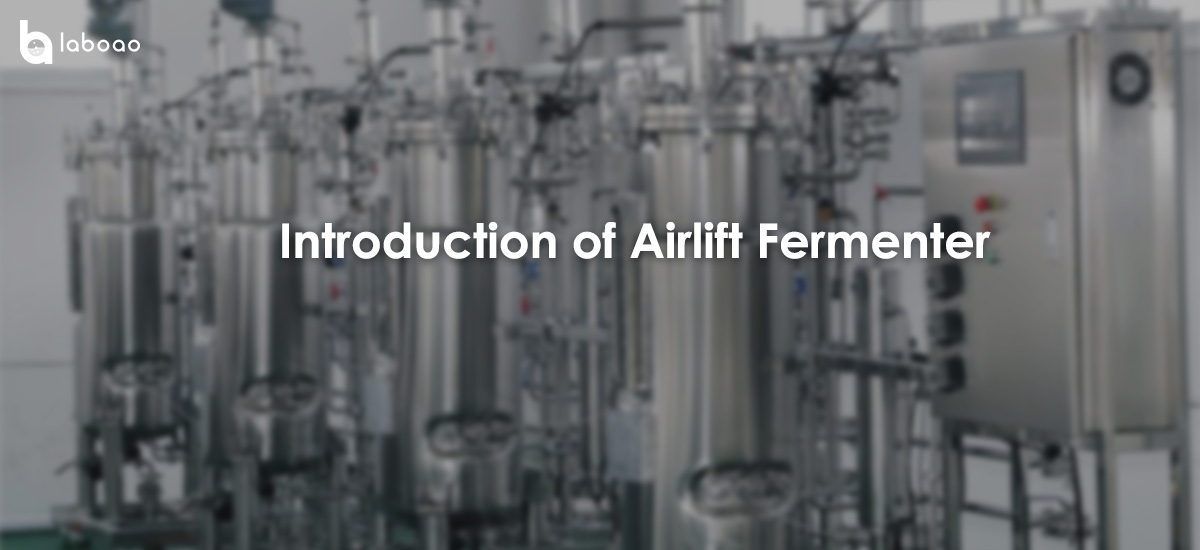 Working Principle And Feature Of Airlift Fermenter