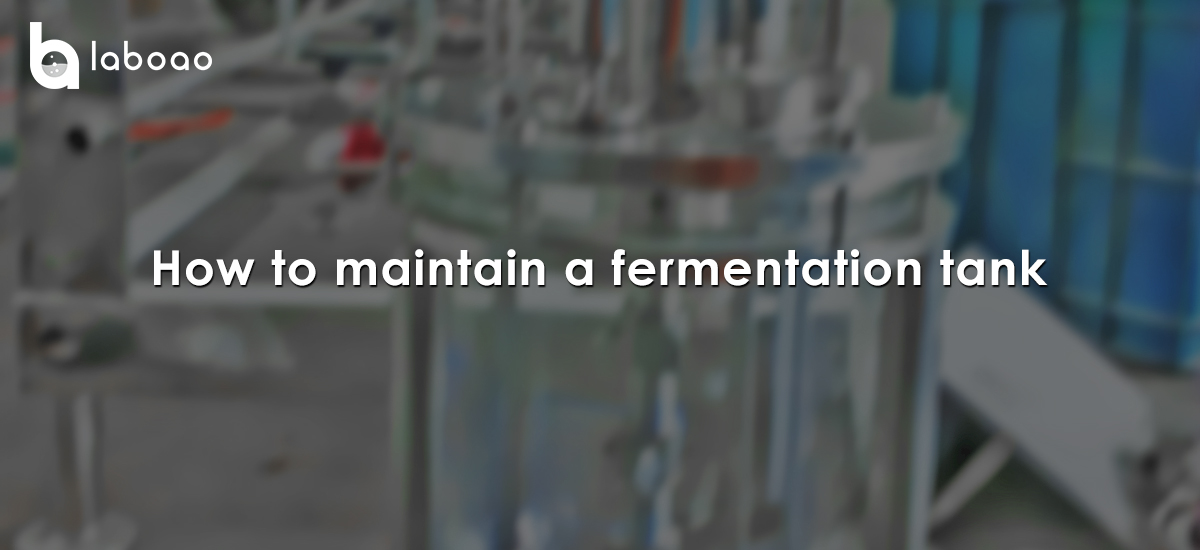 How Can Fermentation Tanks Be Maintained To Extend Their Service Life