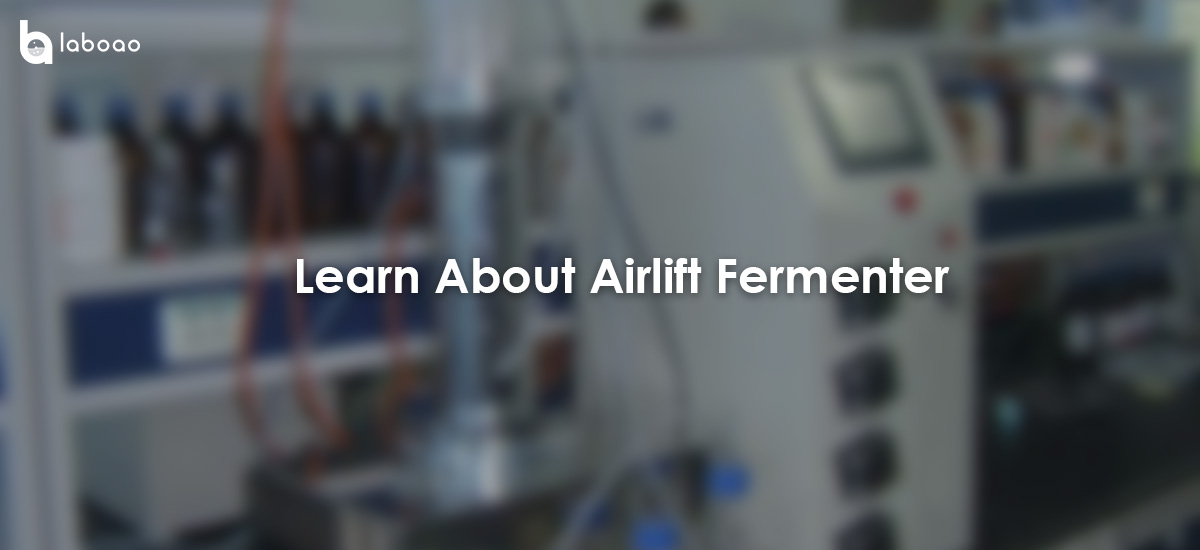 Features And Advantages Of Airlift Fermenters