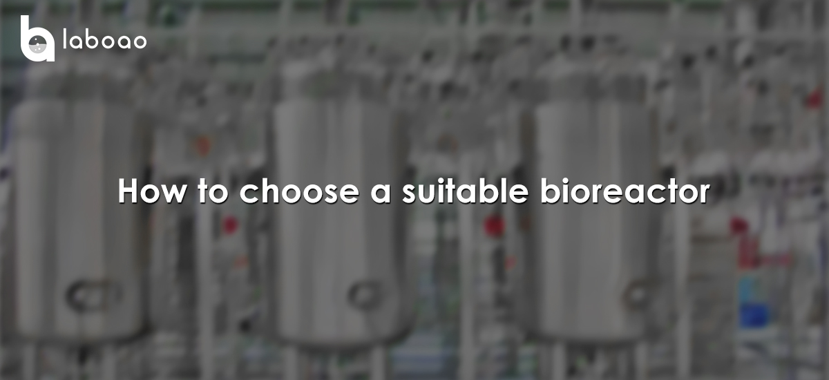 How To Choose A Suitable Bioreactor