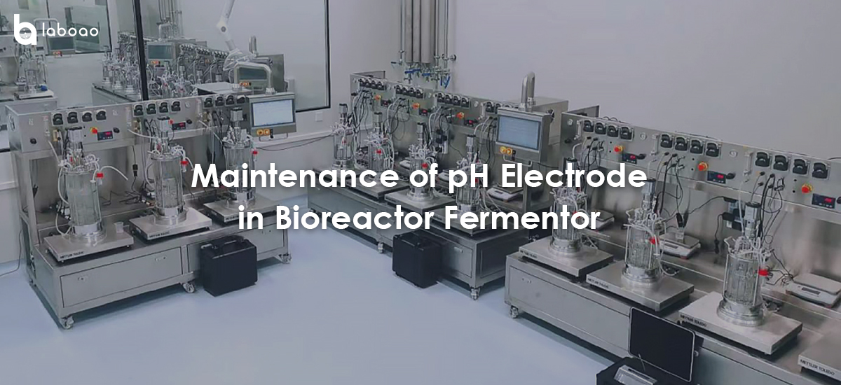 Maintenance Of PH Electrode In Bioreactor Fermentor