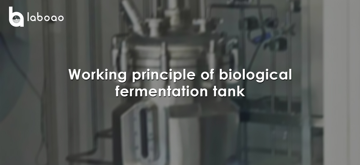 Working Principle Of Biological Fermentation Tank