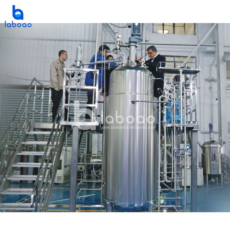 1000L Automatic Industrial Fermenter System