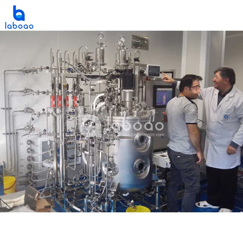 100L Animal Cell Stainless Steel Bioreactor