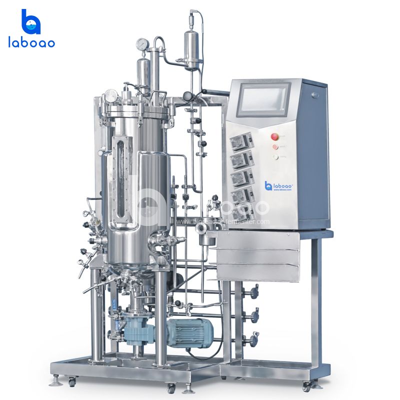 100L Bottom Mechanical Mixing Stainless Steel Bioreactor