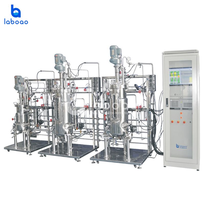 10L-100L-100L Tertiary Stainless Steel Bioreactor System