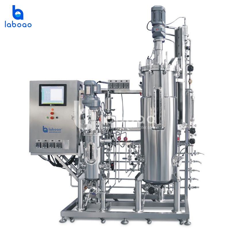 10L-100L Secondary Stainless Steel Bioreactor System