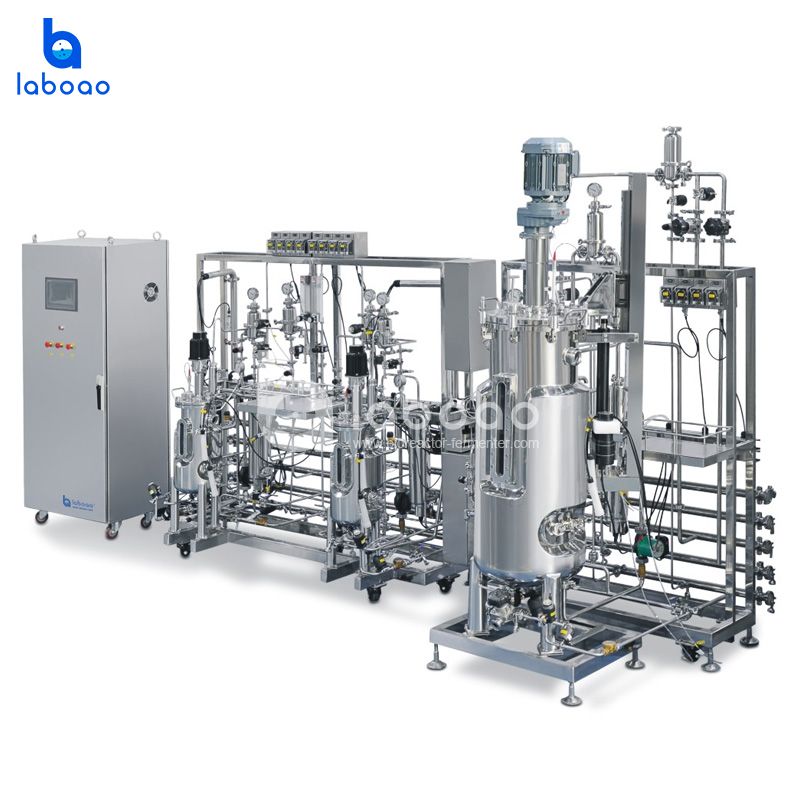 10L-20L-200L Tertiary Stainless Steel Bioreactor System