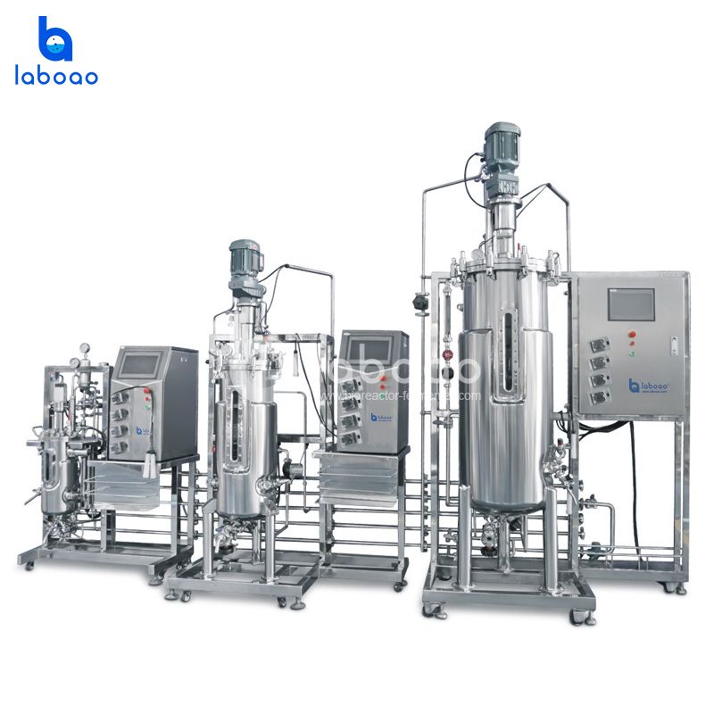 China 10L-50L-100L Tertiary Stainless Steel Bioreactor System