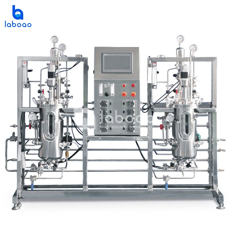 10L Double Stainless Steel Bioreactor