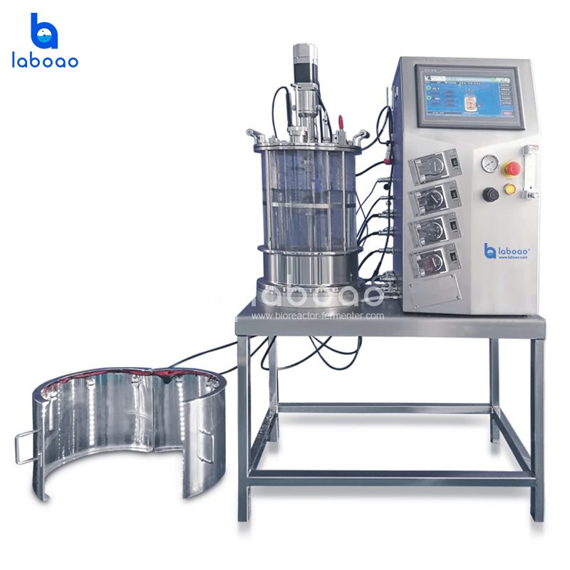 10L Off-site Sterilization Mechanical Mixing Plant Cell Photobioreactor