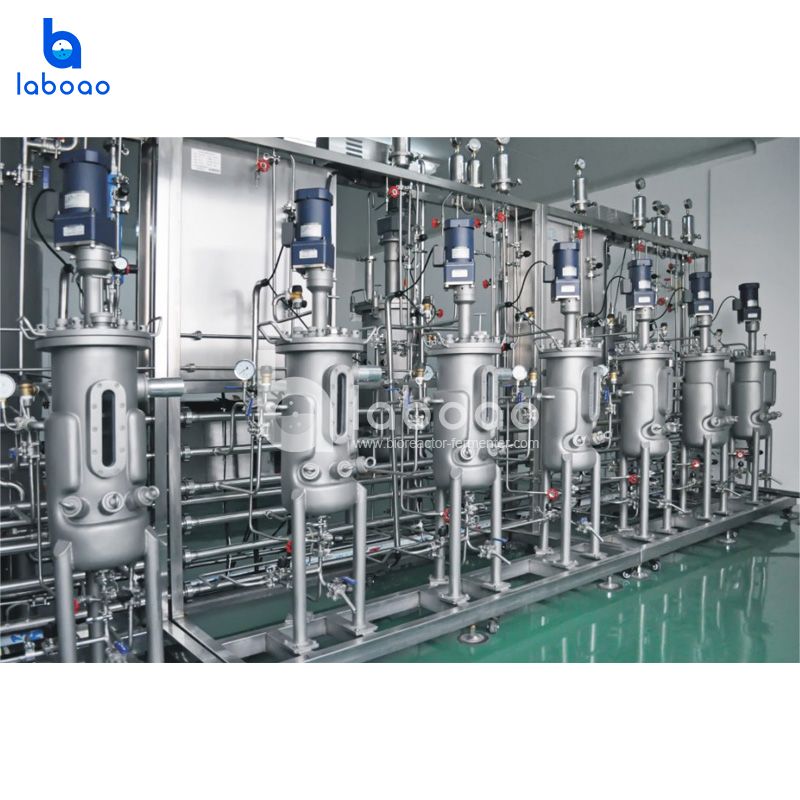 10L Septuple Stainless Steel Bioreactor