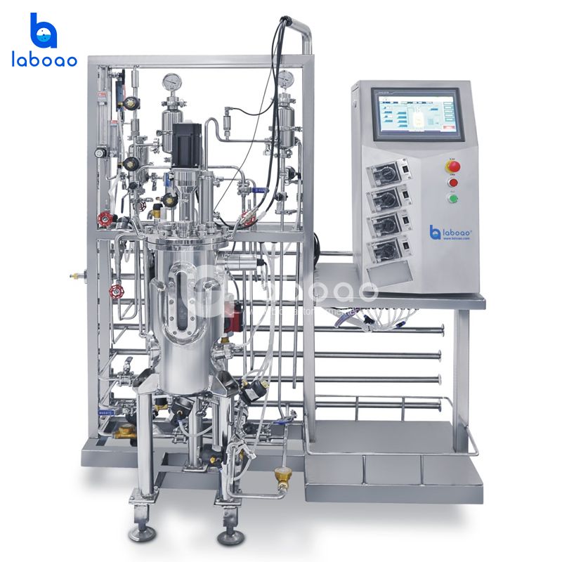 10L Top Mechanical Mixing Stainless Steel Bioreactor