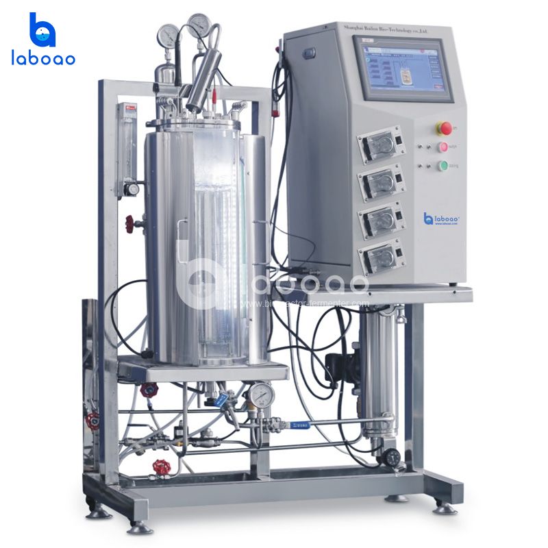 15L Off-site Sterilization Air-lift Mixing Plant Cell Photobioreactor