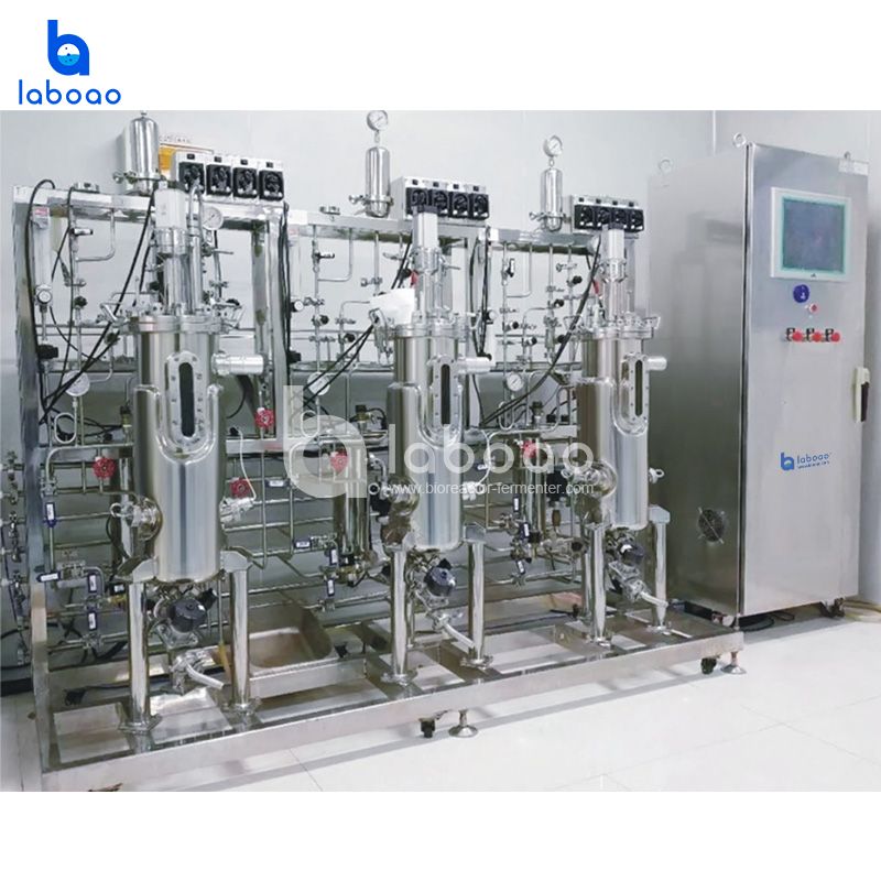 15L Triple Stainless Steel Bioreactor