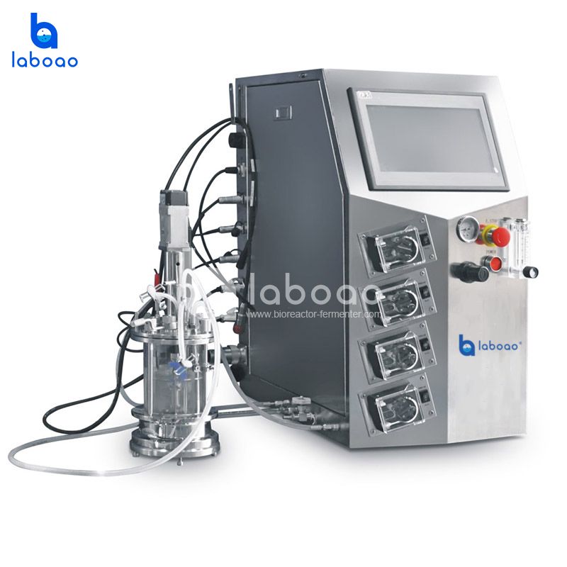 1L Mechanical Mixing Mini Bioreactor