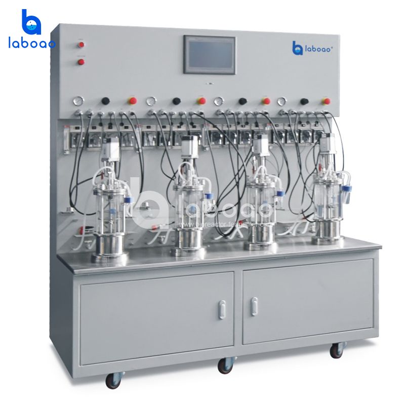 1L Quadruple Off-site Sterilization Mechanical Mixing Mini Bioreactor