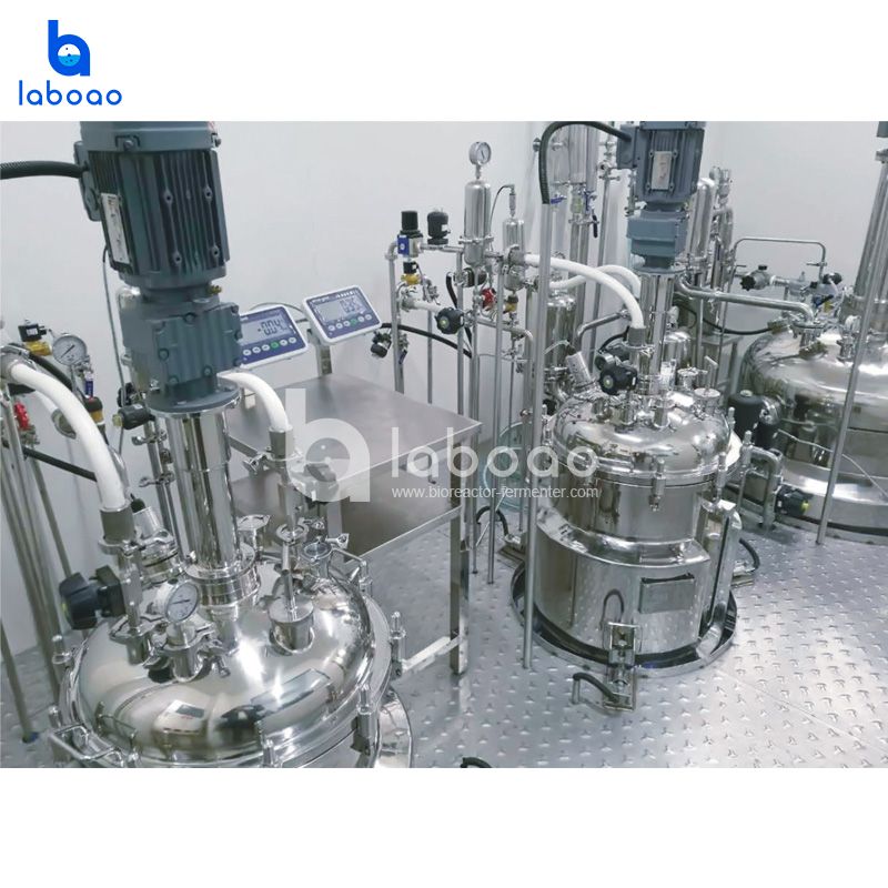 2000L Large Industrial Bioreactor System