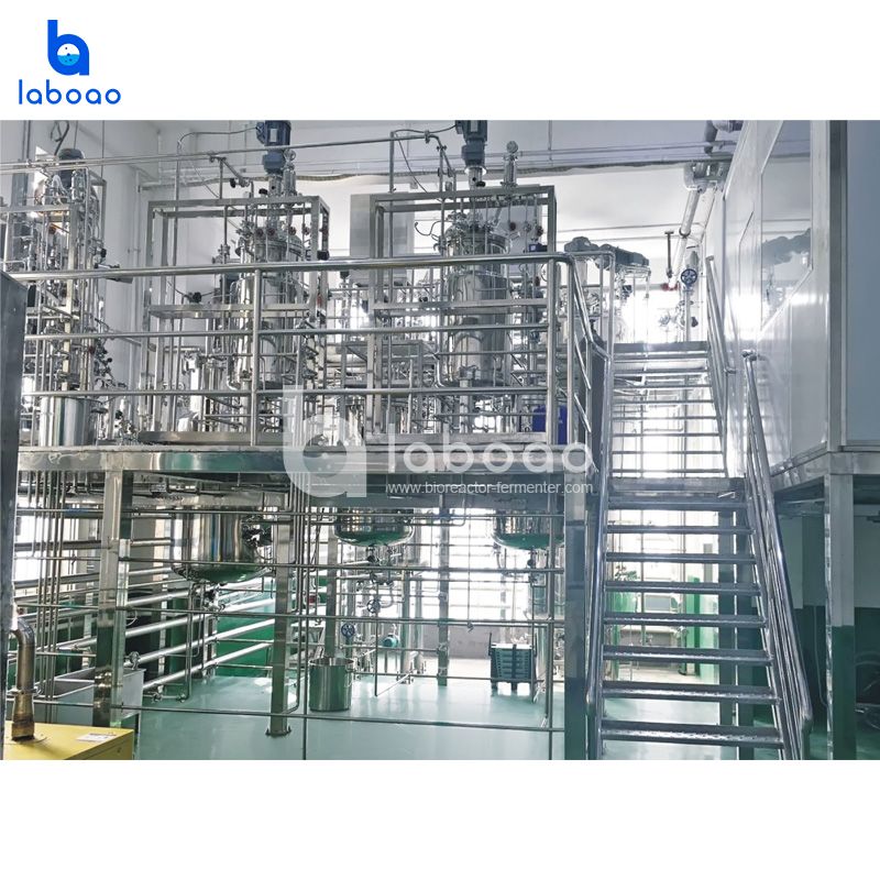 2000L Large Industrial Bioreactor System