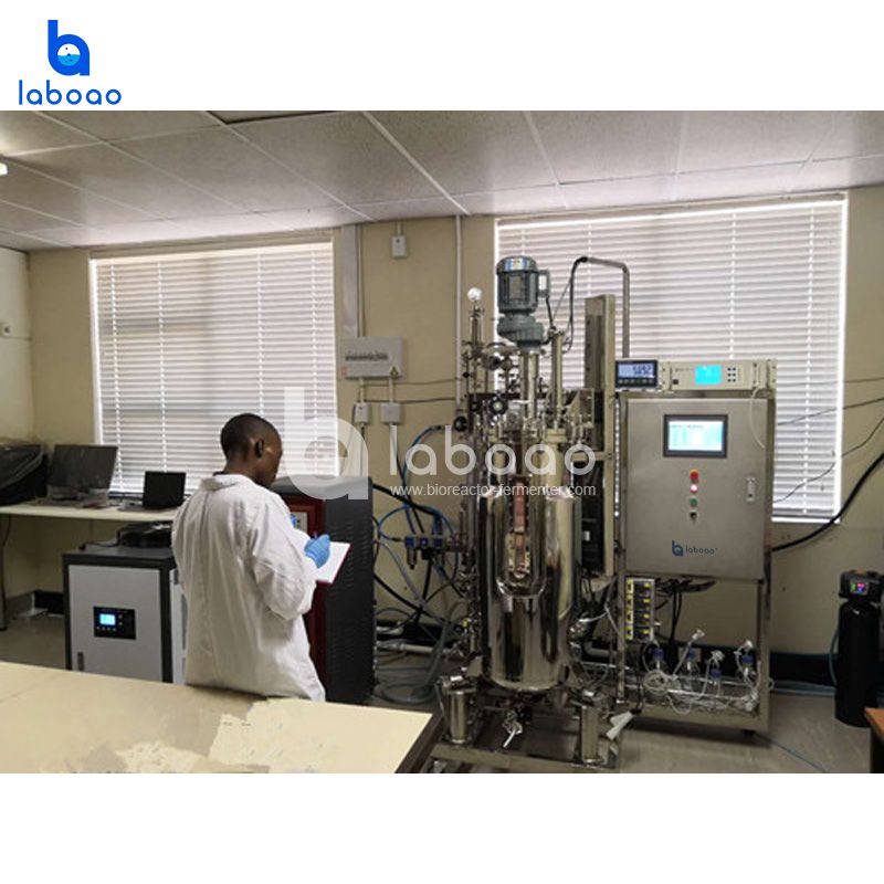 200L Automatic Metabolic Flow Bioreactor
