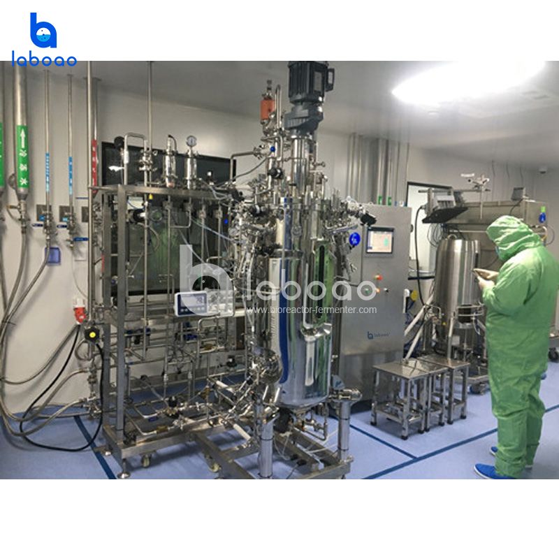 200L Automatic Metabolic Flow Bioreactor