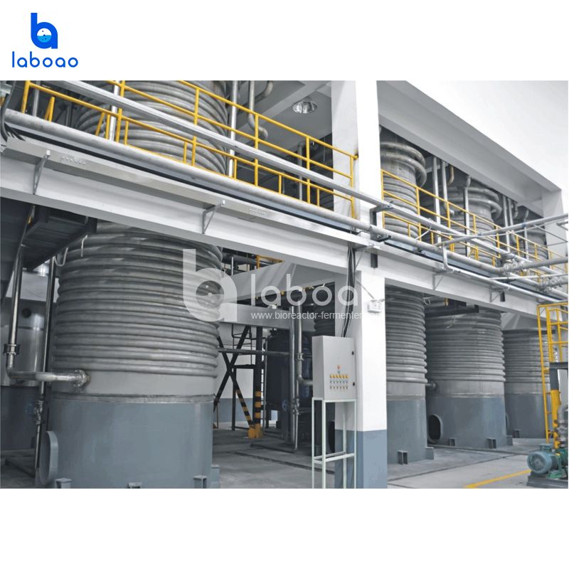 30000L-450000L Large Industrial Production Bioreactor