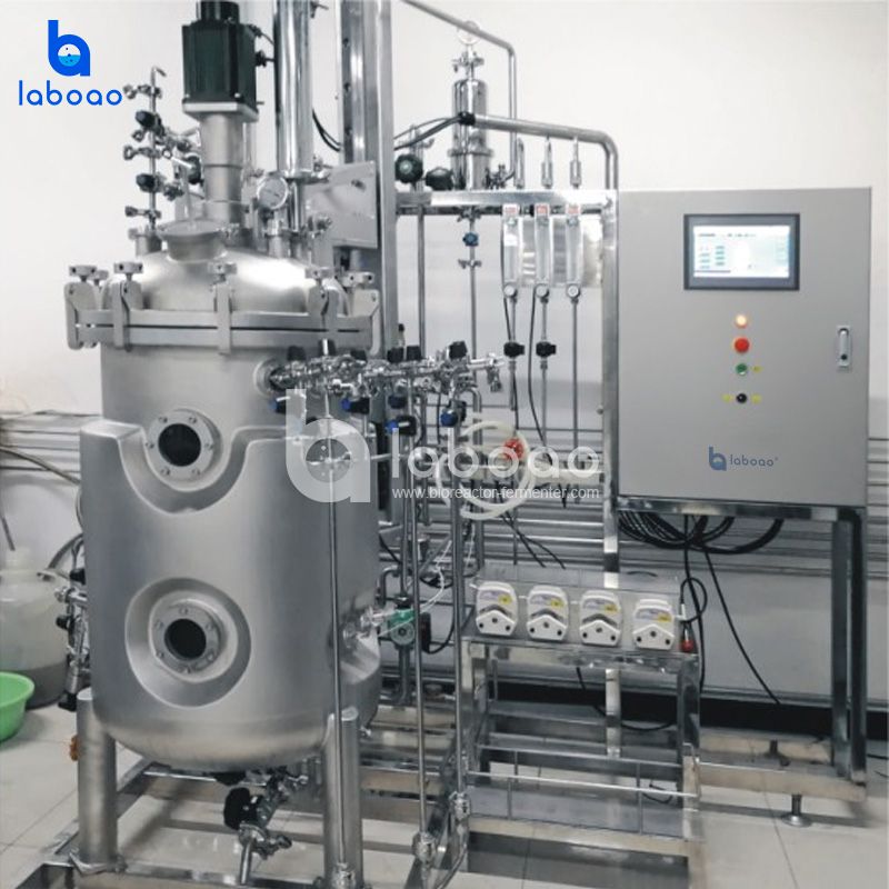 300L Polit Top Magnetic Stirring Animal Cell Bioreactor