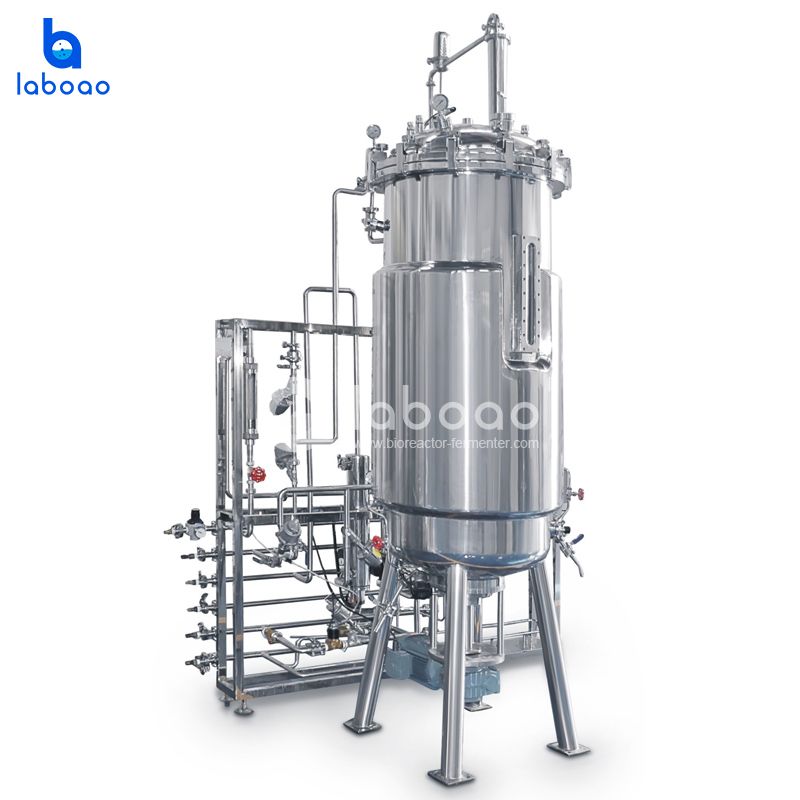 500L Bottom Mechanical Mixing Stainless Steel Fermenter