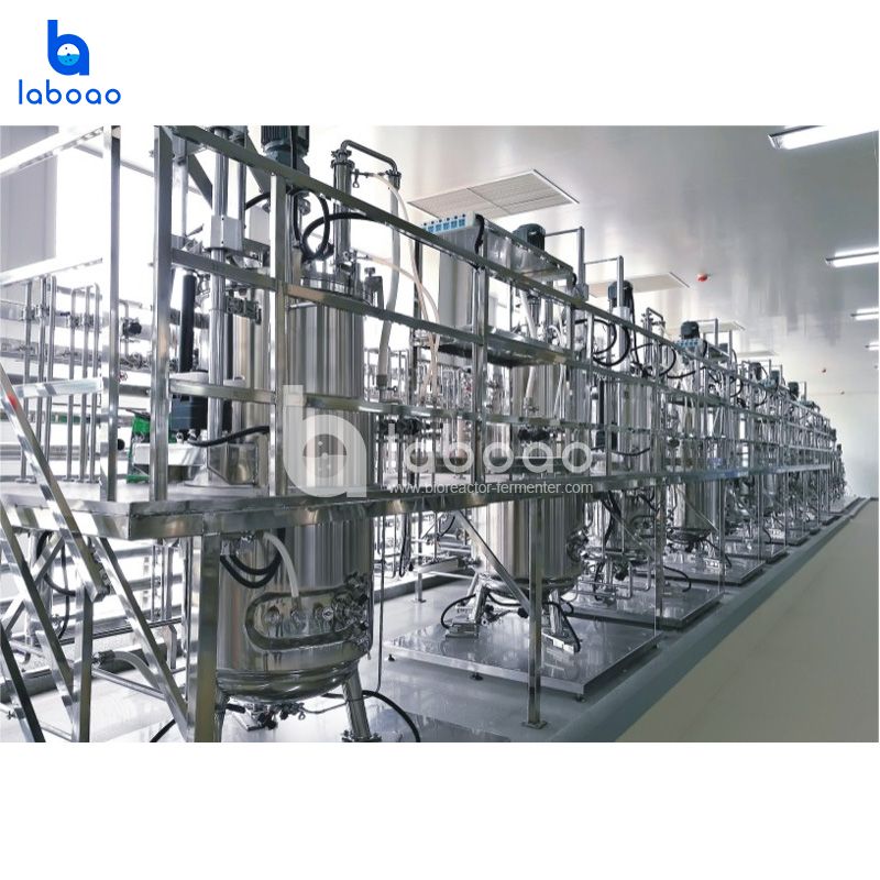 500L Decuple Parallel Stainless Steel Bioreactor