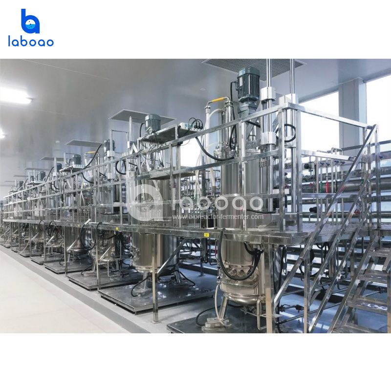 500L Decuple Parallel Stainless Steel Bioreactor