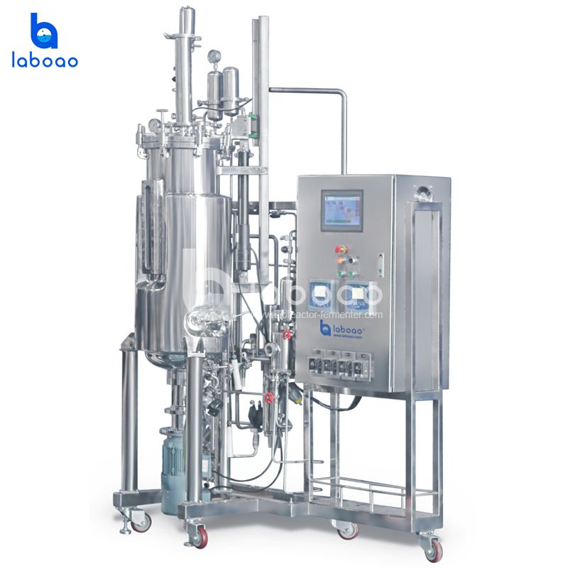 50L Bottom Mechanical Mixing Stainless Steel Fermenter