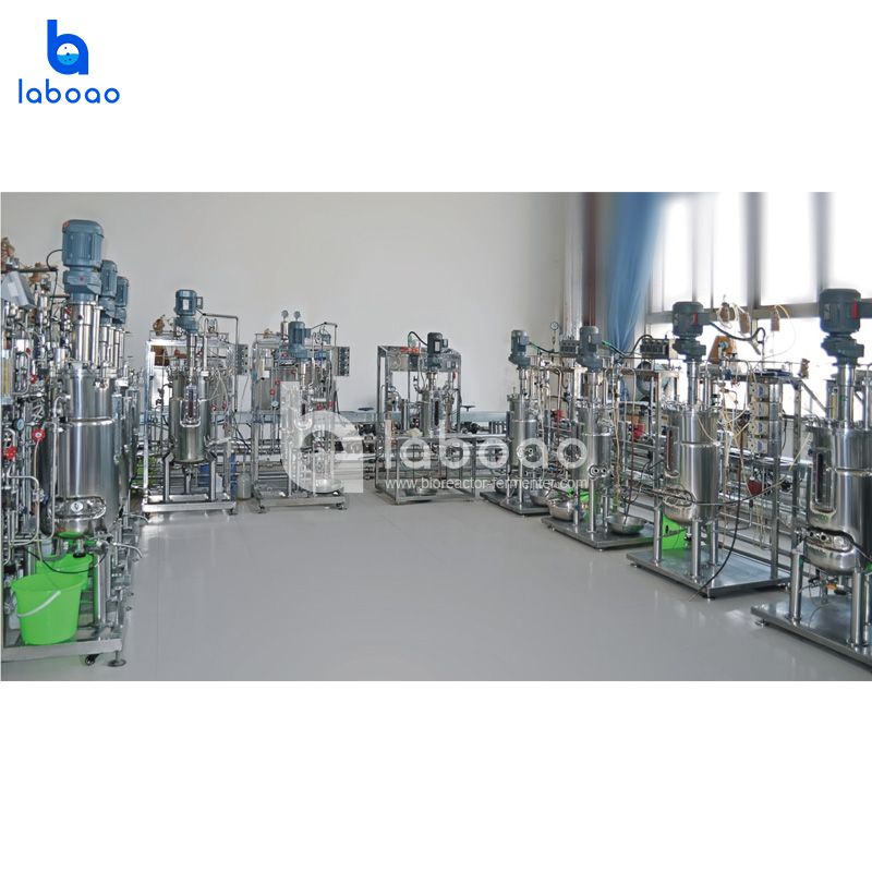 50L Decuple Stainless Steel Bioreactor