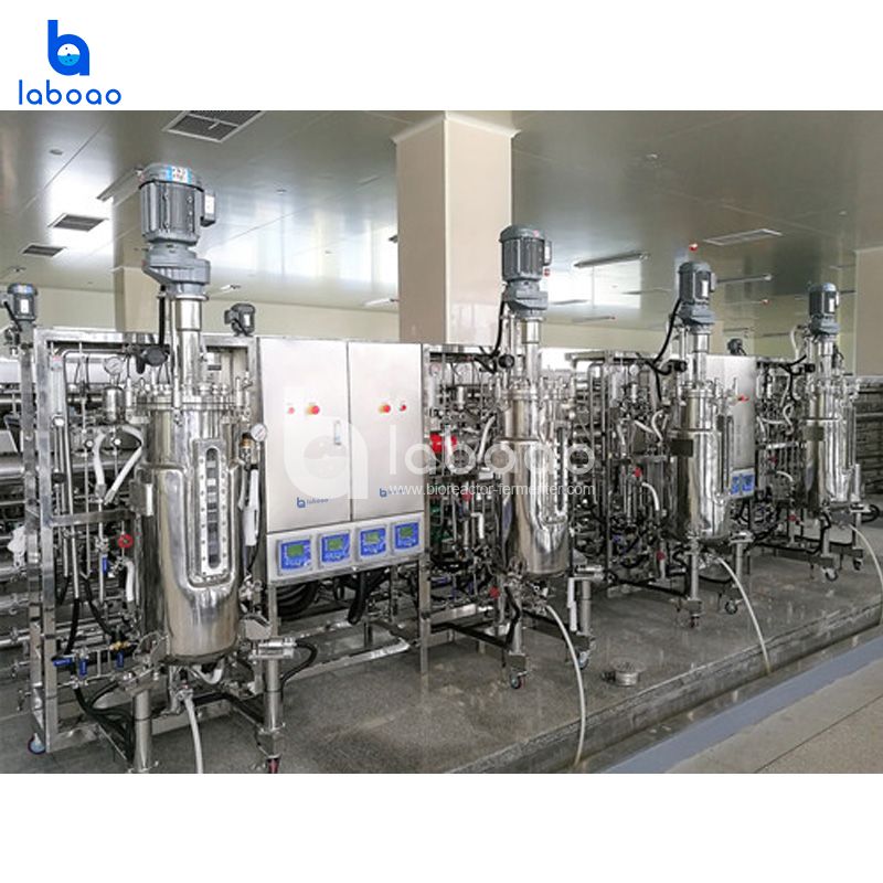 50L Quadruple Molecular Biology Metabolic Flow Bioreactor